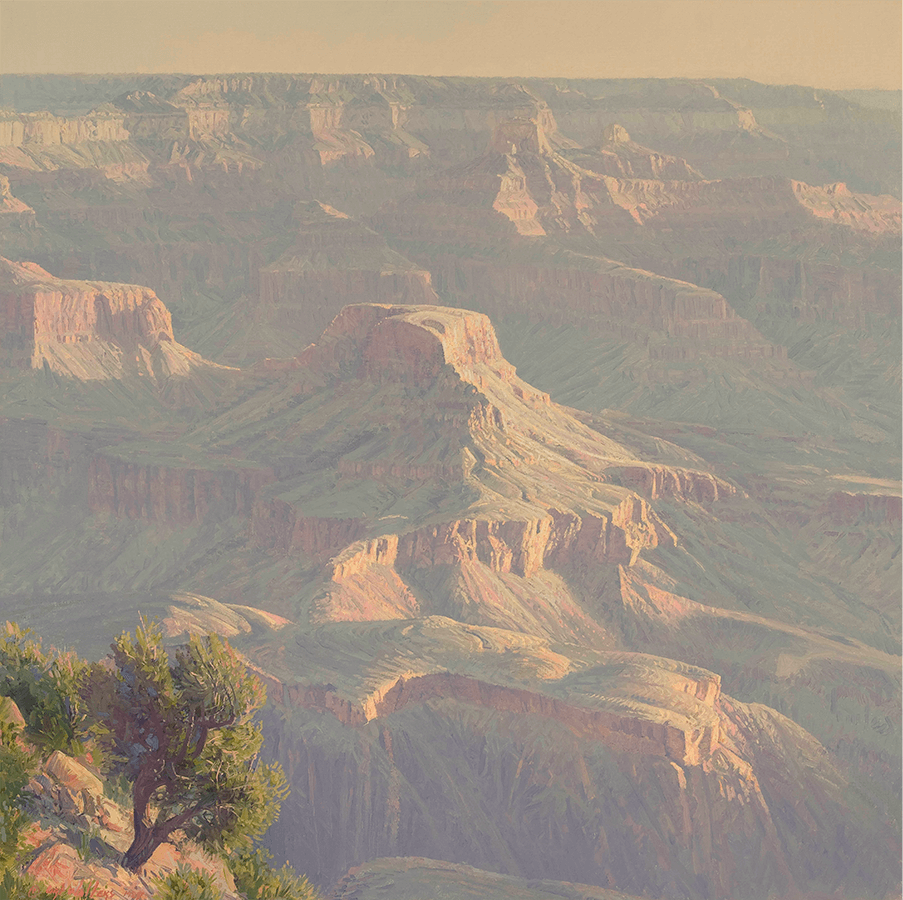 Morning in the Canyon