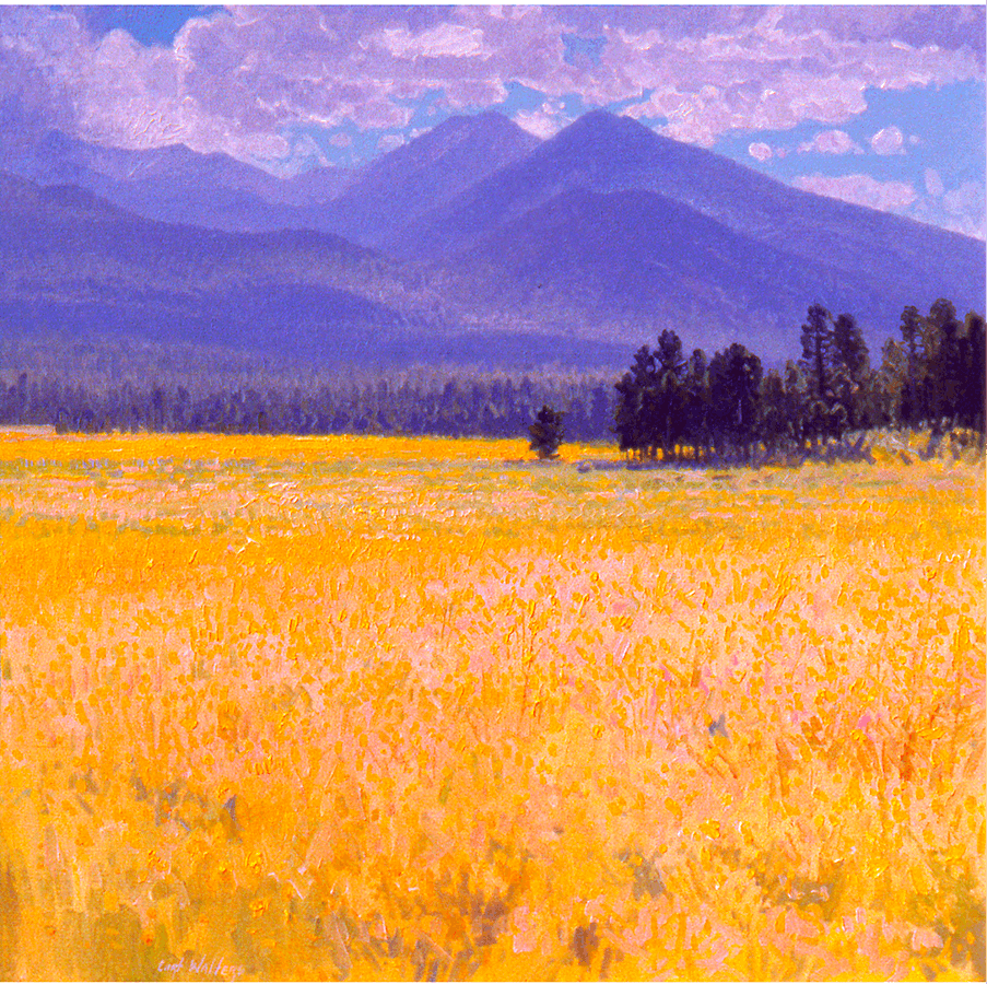 Sunset Creator Meadow   Flagstaff