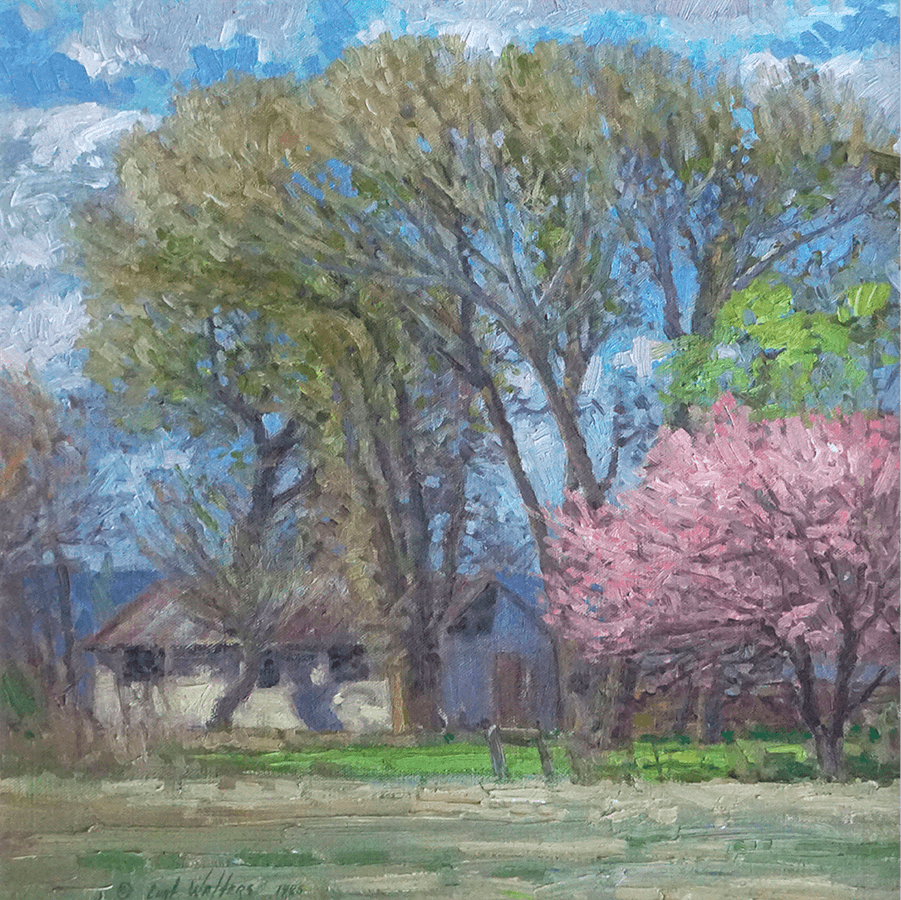 Valentine Blossoms  Cottonwood