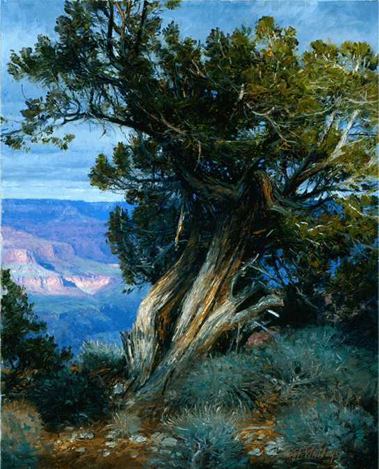 Canyon Centurion - Original Artwork by Curt Walters