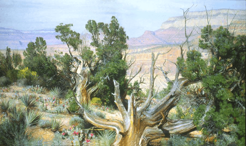 Old Timer on Horseshoe Mesa - Original Artwork by Curt Walters
