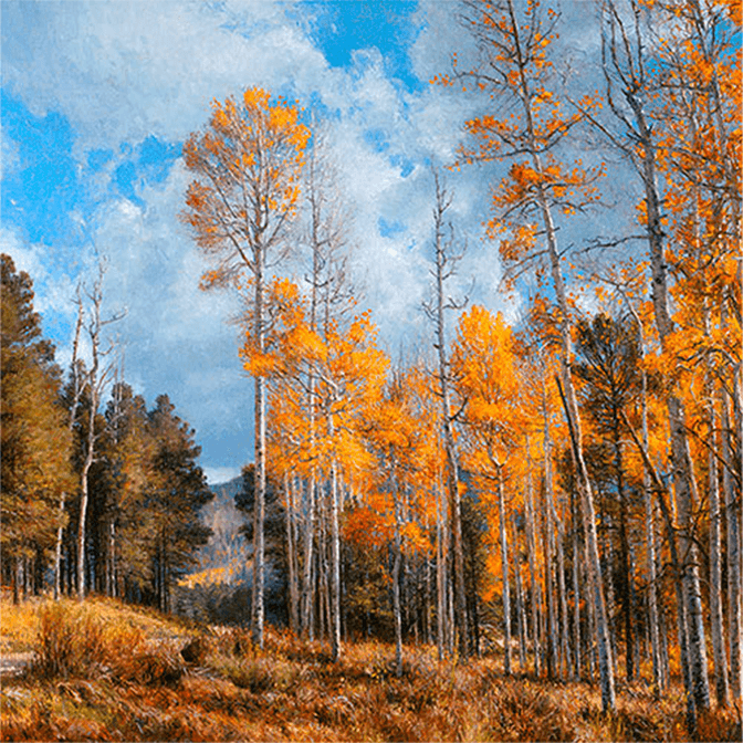 Wistful Autumn - Original Artwork by Curt Walters
