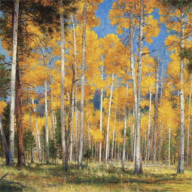 Autumn Comes to Hart’s Prairie