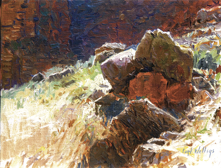 Hillside Boulders at Nankoweap