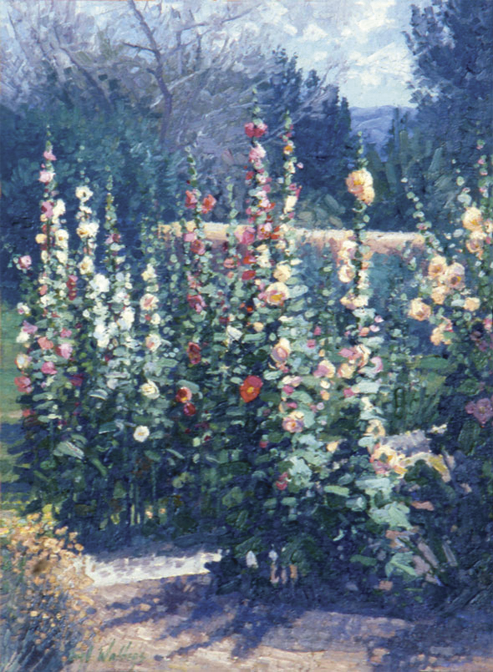 Hollyhocks