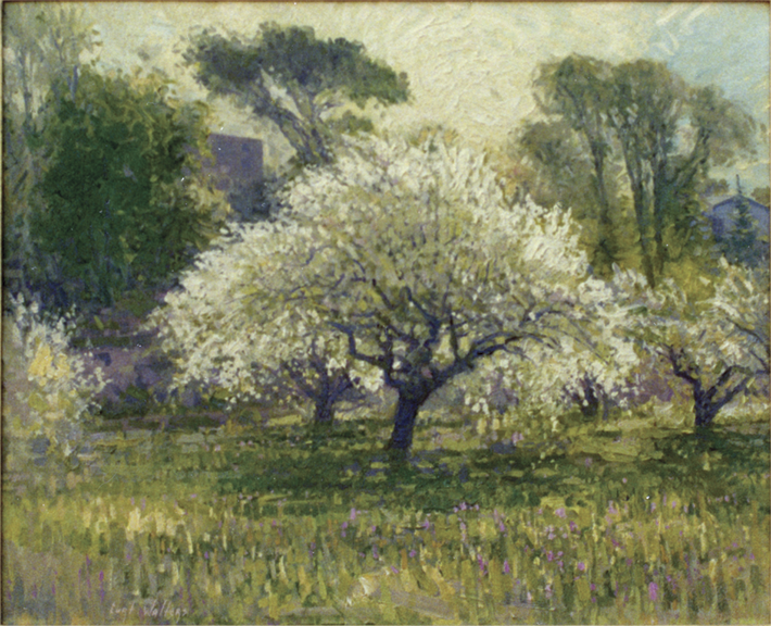 Jordan Orchard Sedona