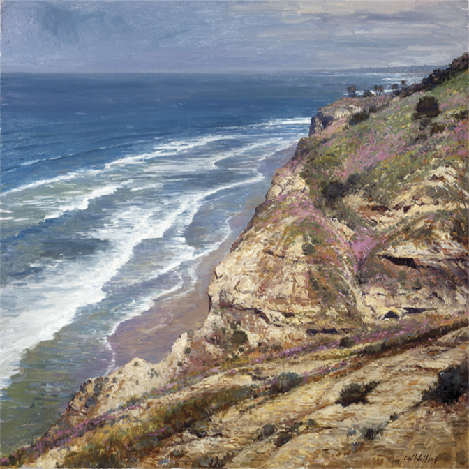 La Jolla: Above Black Beach