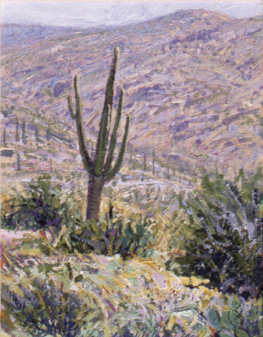 Lone Cactus