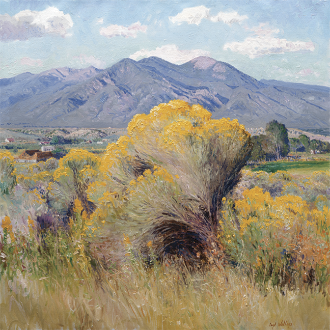 Rejuvenation – Taos Chamisa