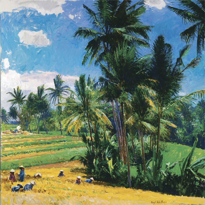 Rice Fields of Bulan, The