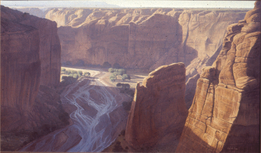 Sliding Rock Canyon de Chelly Arizona