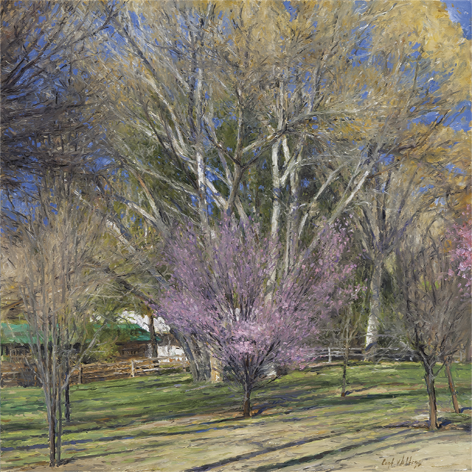 Spring Comes to Hidden Valley