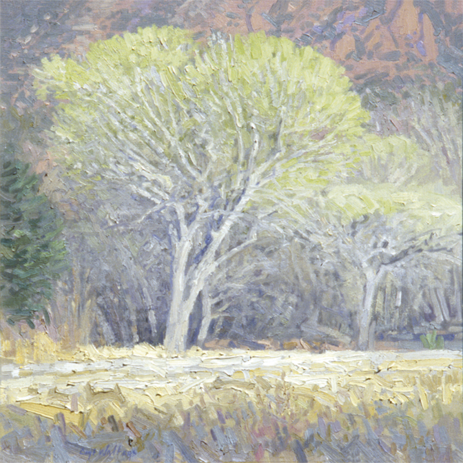Spring Cottonwoods