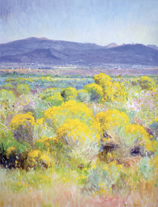 Transitional Splendor