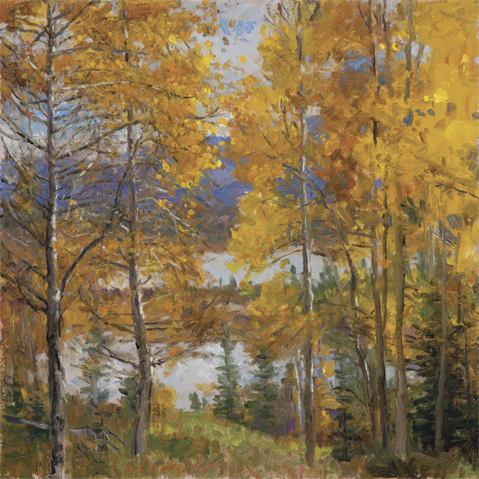 Vermillion Lake Aspens