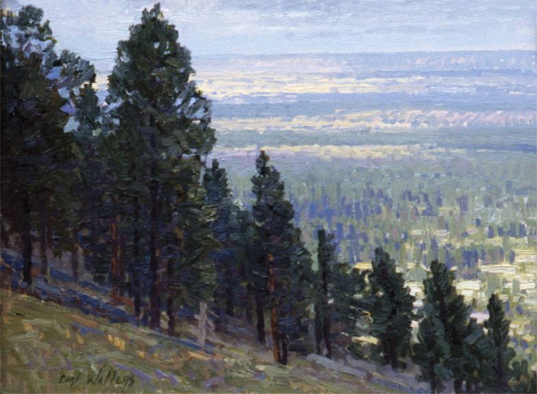 View from Mount Humphreys  Flagstaff