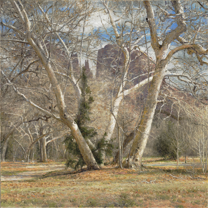 Winter’s Textural Debut