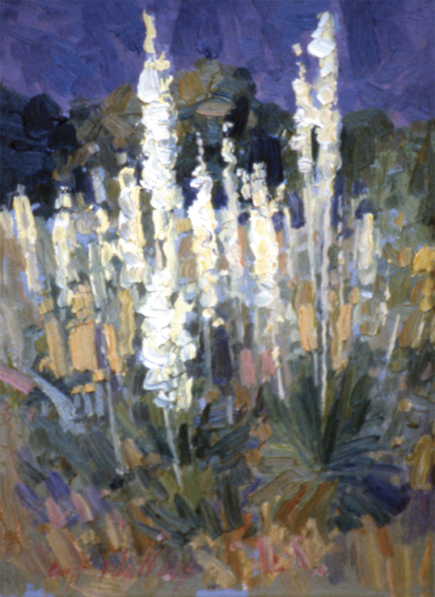 Yucca Study (Evening)